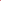 Rose | 1 Paar